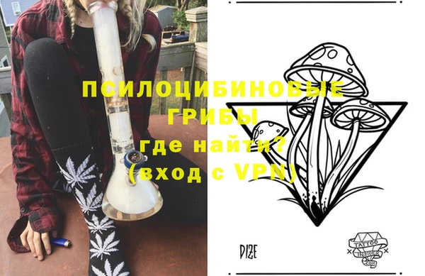 крисы Богданович