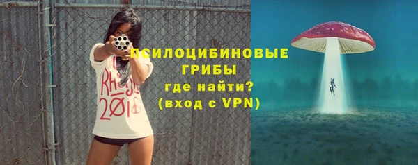 крисы Богданович