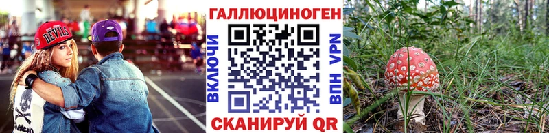 Галлюциногенные грибы мицелий  закладки  Кирс 